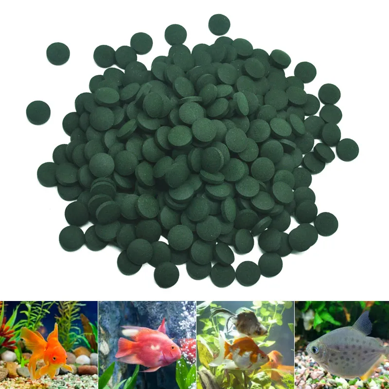 Fish Food Flake - 100/500pcs Spirulina Tablets Enrichment Favorite Pet