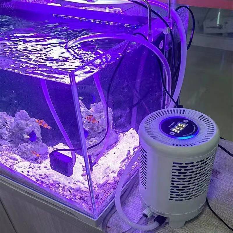Aquarium Fish Uk - Cá Làm Lạnh Sứa Xe Tăng