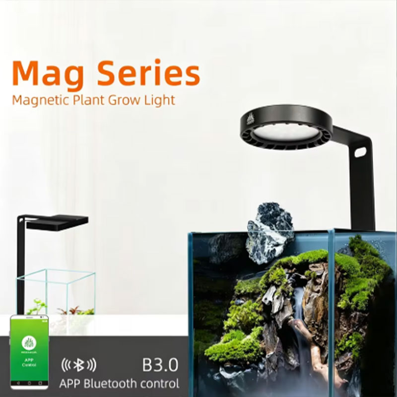 Aquarium Fish App - Sunsun Hộp Thay Thế Lõi Lọc