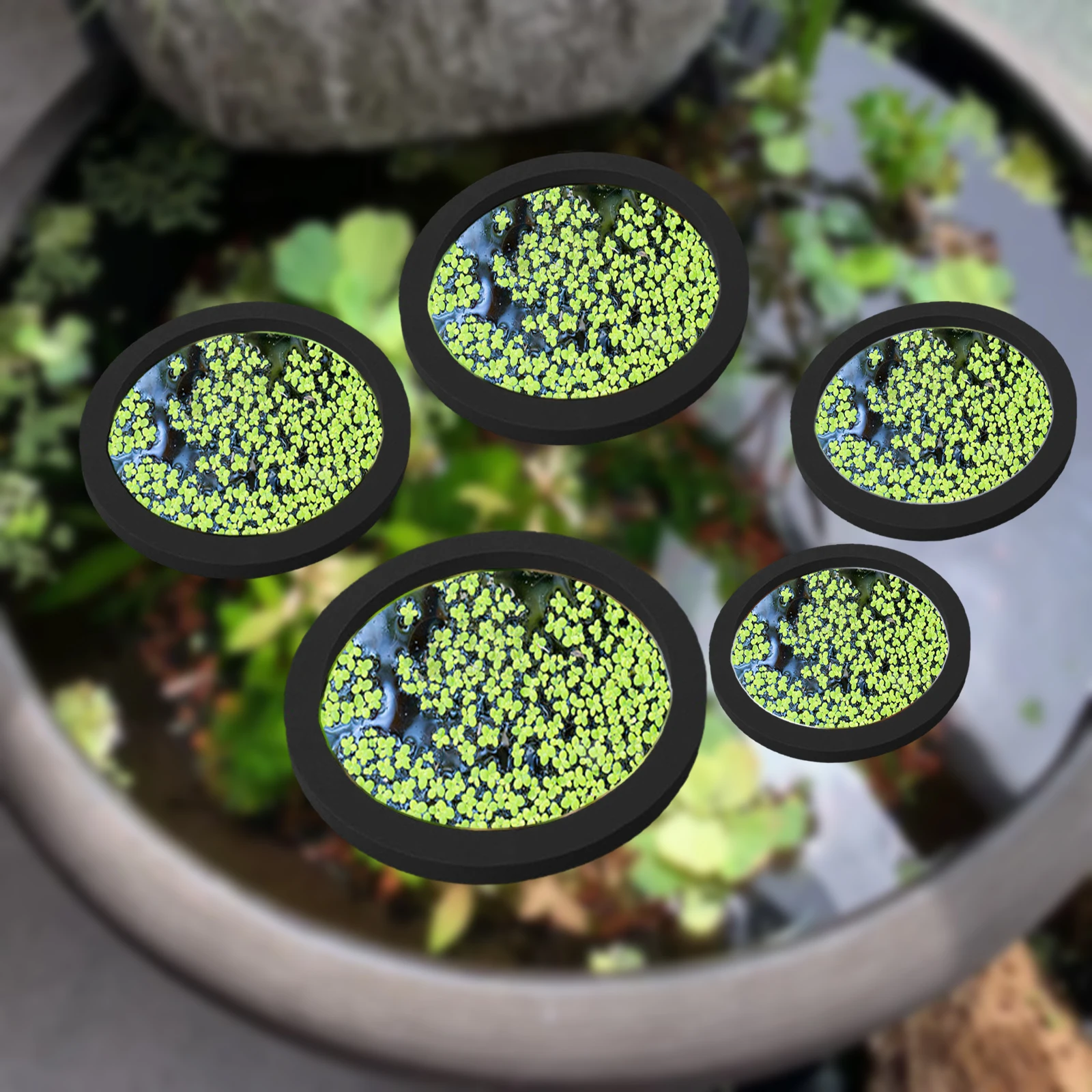 Aquarium Fish Bowl - 5Pcs EVA Fish Feeding Ring Aquarium