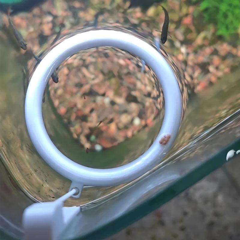 1 Set 3D Printed Floating Aqua - đánh giá và giá Aquarium Fish Feeder