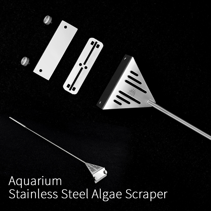 Week Aqua Stainless Steel Fish - đánh giá và giá Algae Scraper Blade