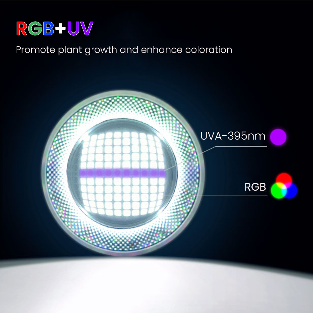 Full Spectrum Bluetooth 3.0 Ap - đánh giá và giá Aquarium Fish App