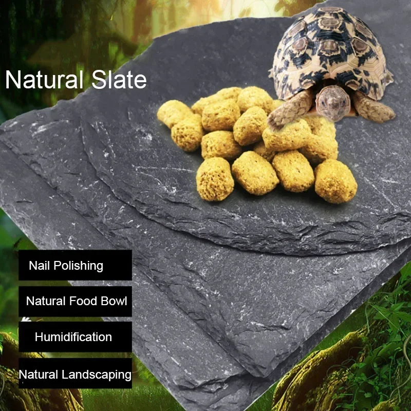 Natural Slate Aquarium Pet Rep - đánh giá và giá Aquarium Fish Feeder