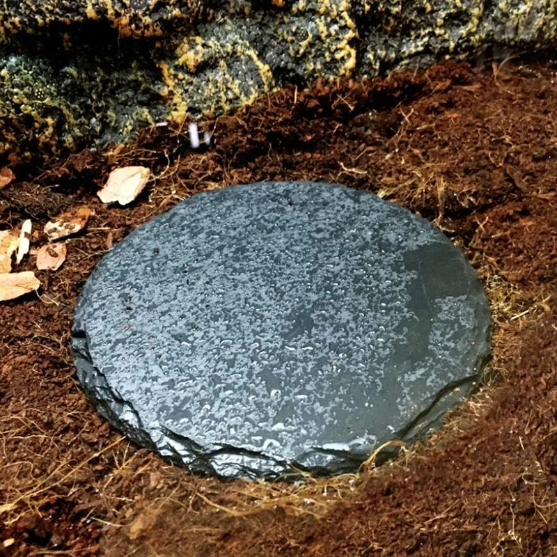 Natural Slate Aquarium Pet Rep - đánh giá và giá Aquarium Fish Feeder