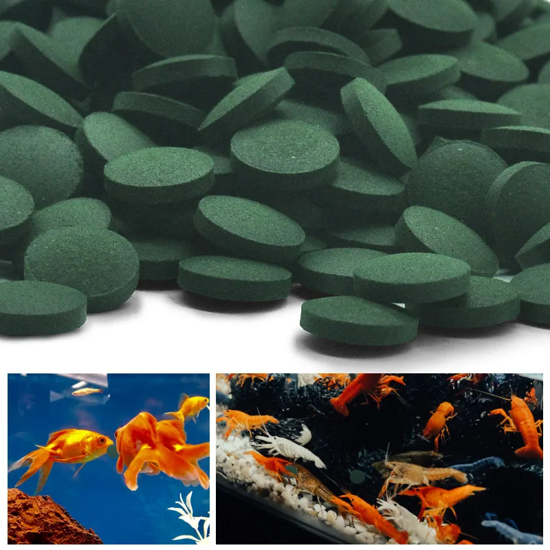 100/500pcs Spirulina Tablets E - đánh giá và giá Fish Food Flake