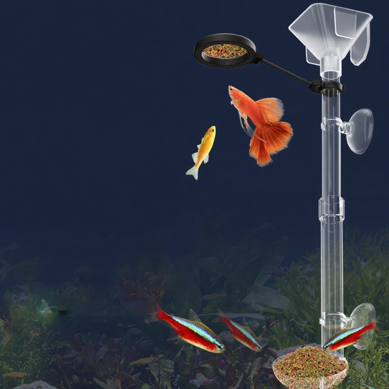 Acrylic Aquarium Fish Feeder T - đánh giá và giá Aquarium Fish Feeder