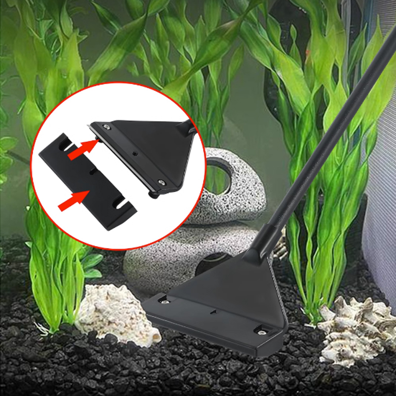 Hồ Cá Thép Không Gỉ Cá Tảo Loạ - đánh giá và giá Algae Scraper Blade