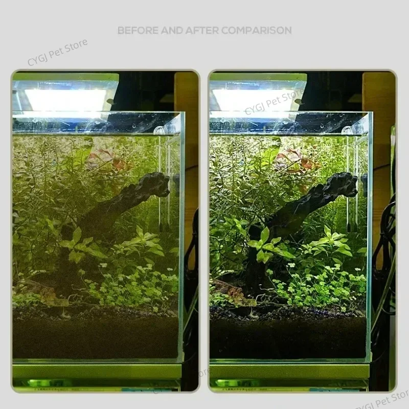 Fish Tank Cleaning Tool Flat S - đánh giá và giá Algae Scraper Blade