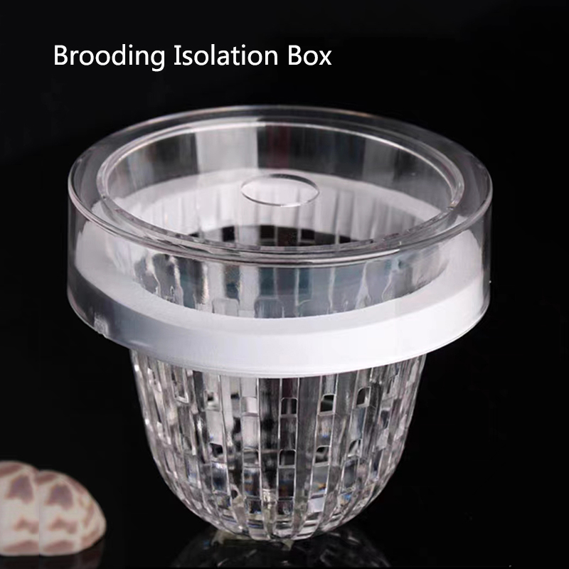 Acrylic Floating Fish Breeding - đánh giá và giá Aquarium Fish Feeder