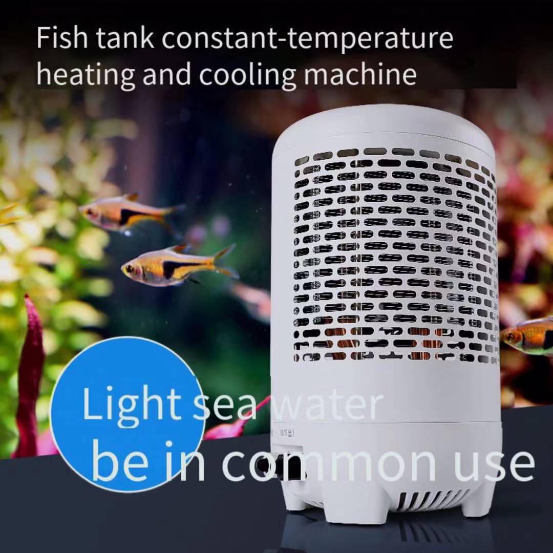 Cá Làm Lạnh Sứa Xe Tăng Bình G - đánh giá và giá Aquarium Fish Uk