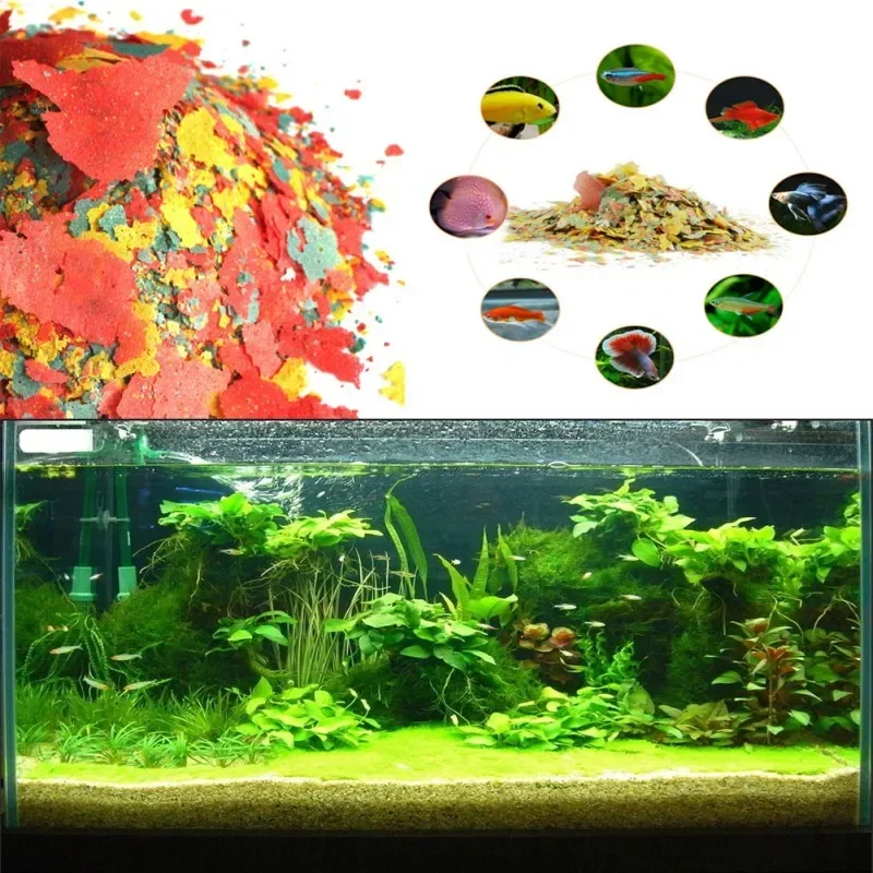 Fish Food Coloring and Brighte - đánh giá và giá Fish Food Flake