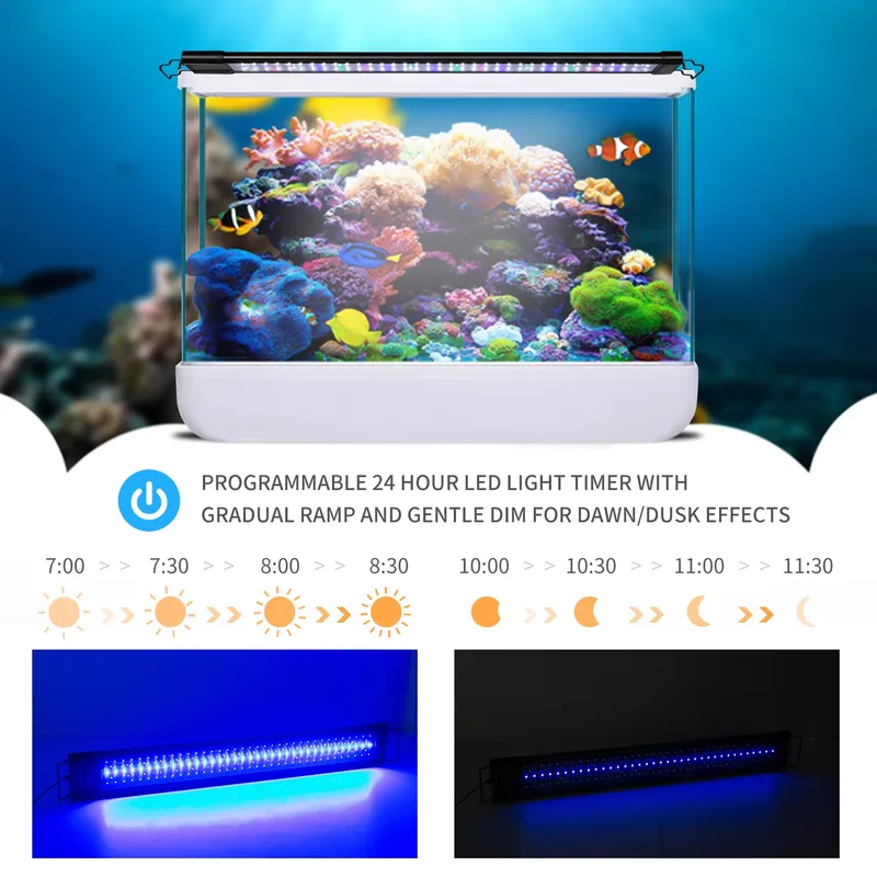 LED Programmable Aquarium Ligh - đánh giá và giá Aquarium Fish Lamp