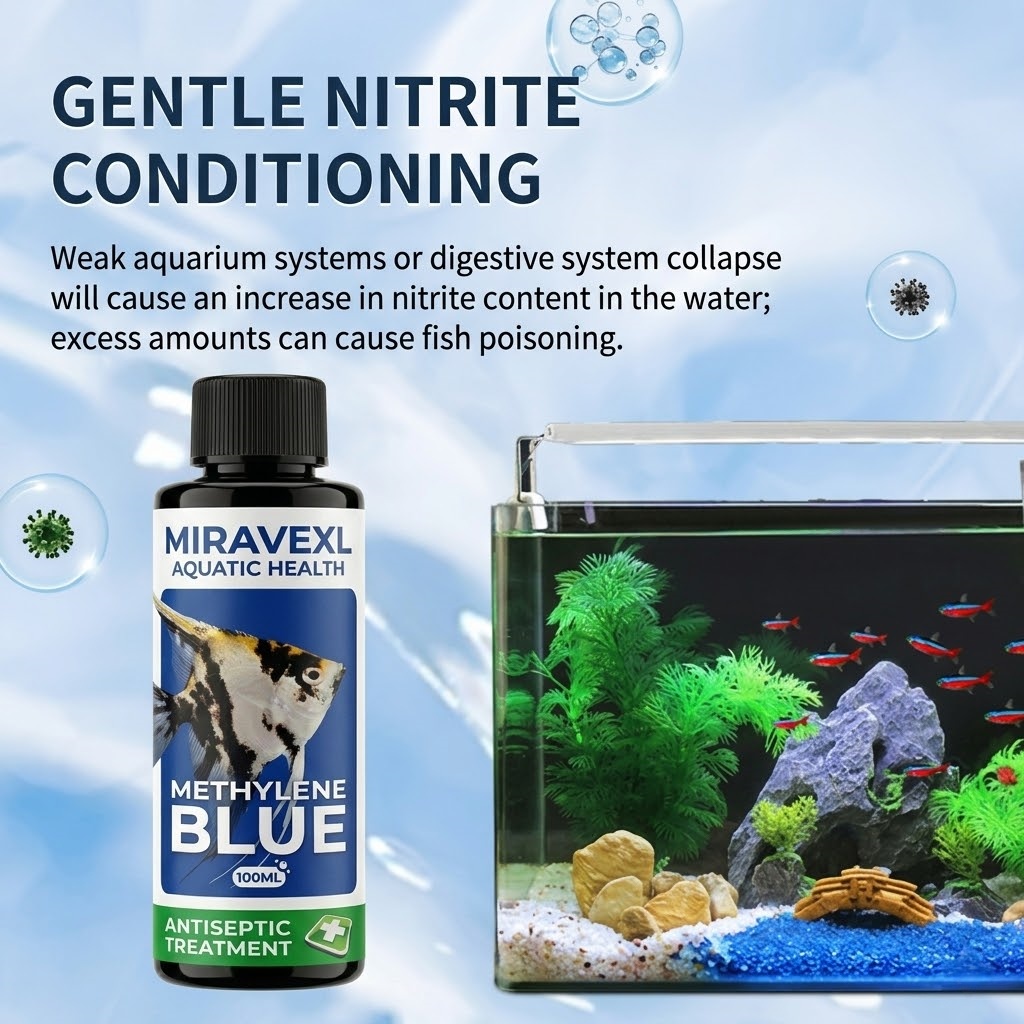 100ml Methylene Blue Aquarium  - đánh giá và giá Aquarium Fish Parasites