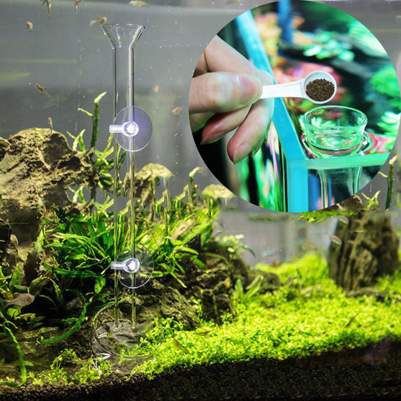 Kính Bể Cá Ống Tiếp Nguyên Liệ - đánh giá và giá Aquarium Fish Feeder