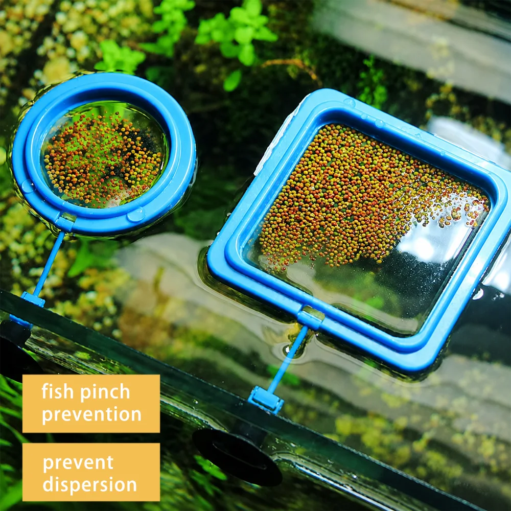 Betta Fish Food Floating Mini  - đánh giá và giá Fish Food Flake
