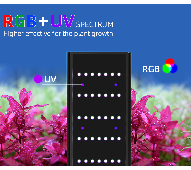 WEEK AQUA L Series APP Control - đánh giá và giá Aquarium Fish App
