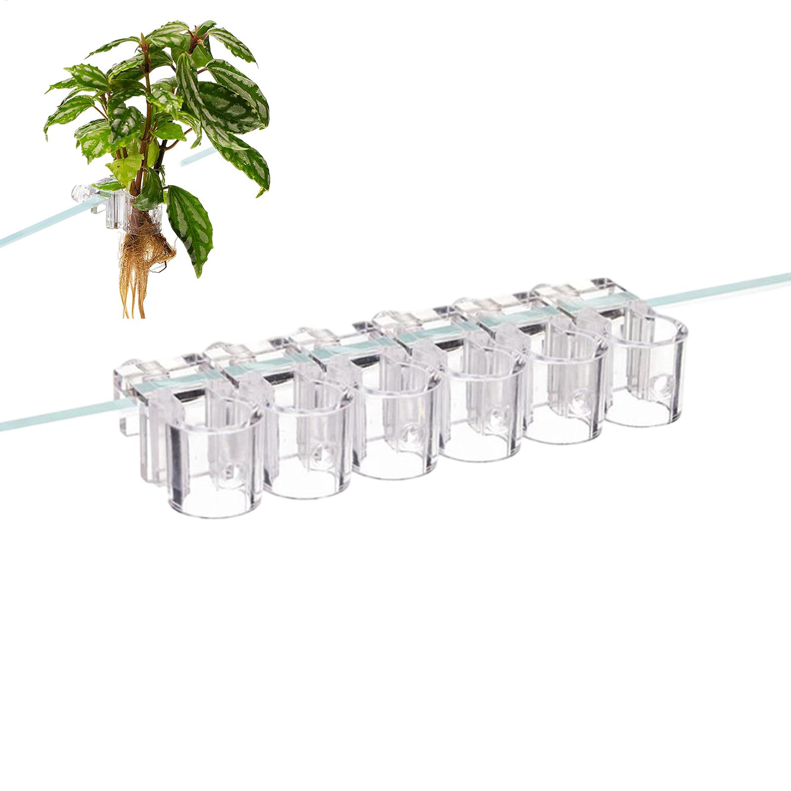 Mini Fish Tank Planter Pot 6Pc - đánh giá và giá Aquarium Fish Feeder