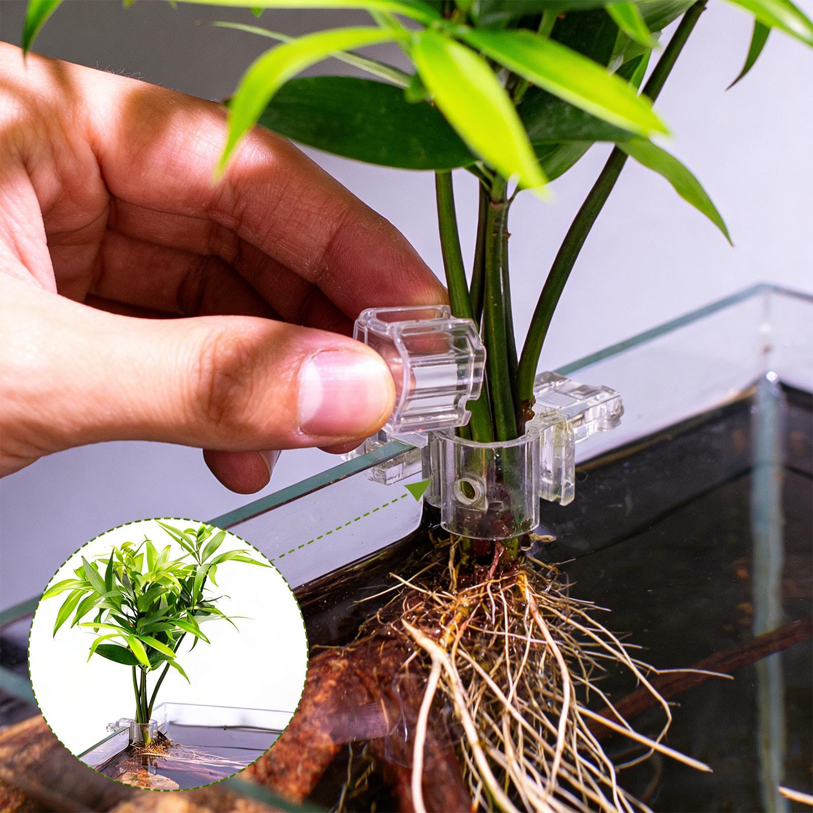 Mini Fish Tank Planter Pot 6Pc - đánh giá và giá Aquarium Fish Feeder