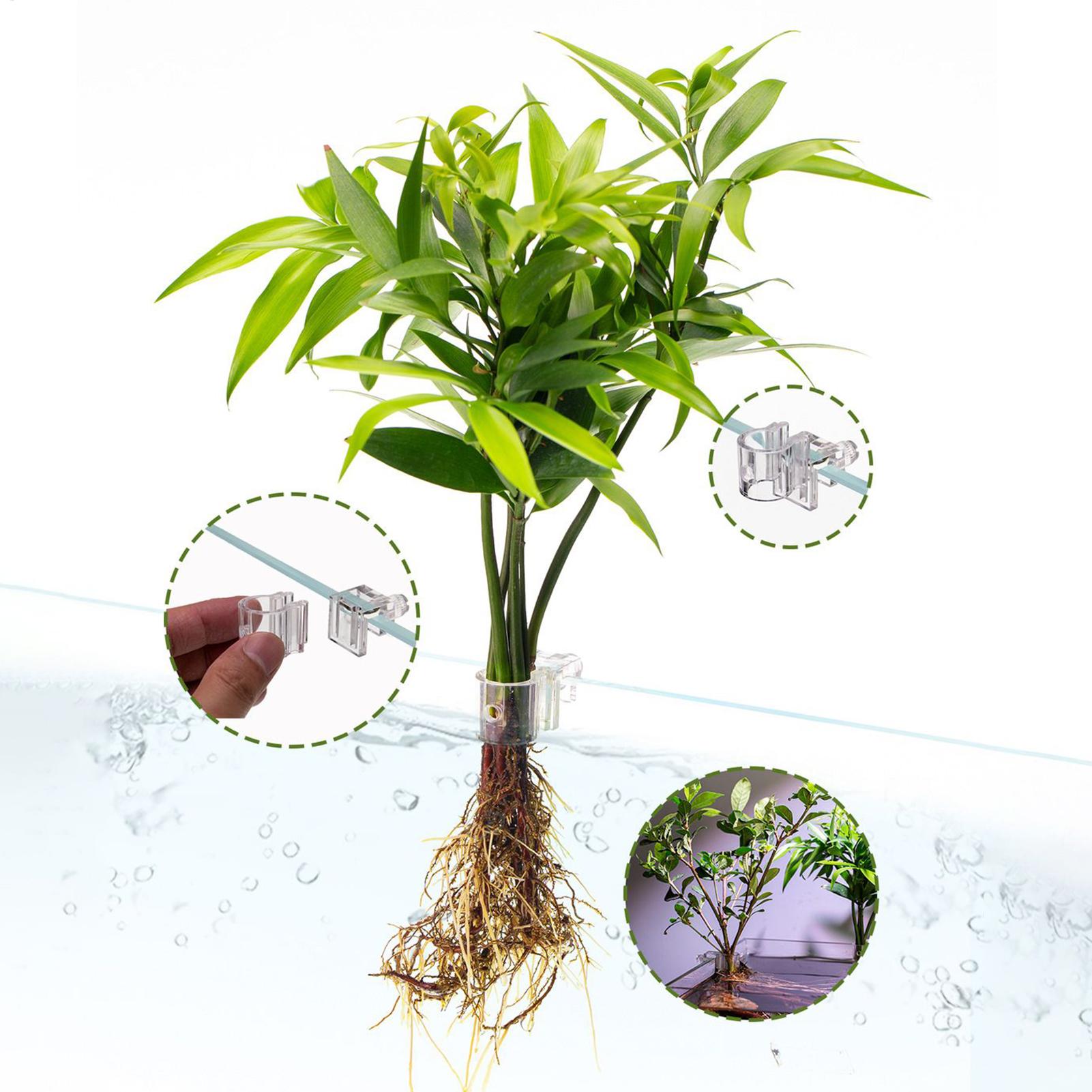Mini Fish Tank Planter Pot 6Pc - đánh giá và giá Aquarium Fish Feeder