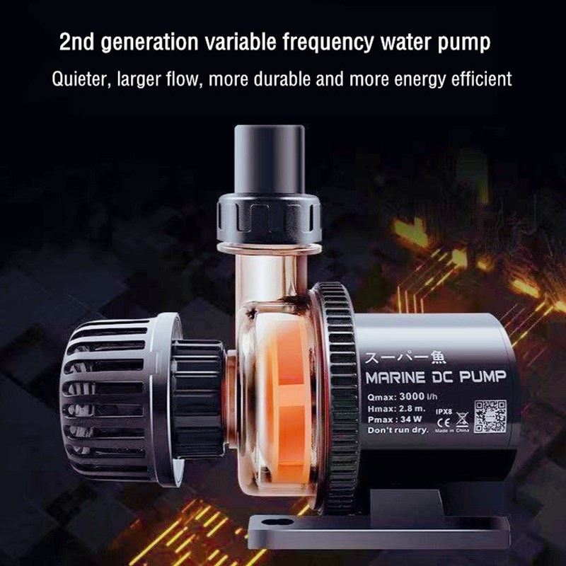 Custom Factory Wholesale Price - đánh giá và giá Aquarium Fish High Price