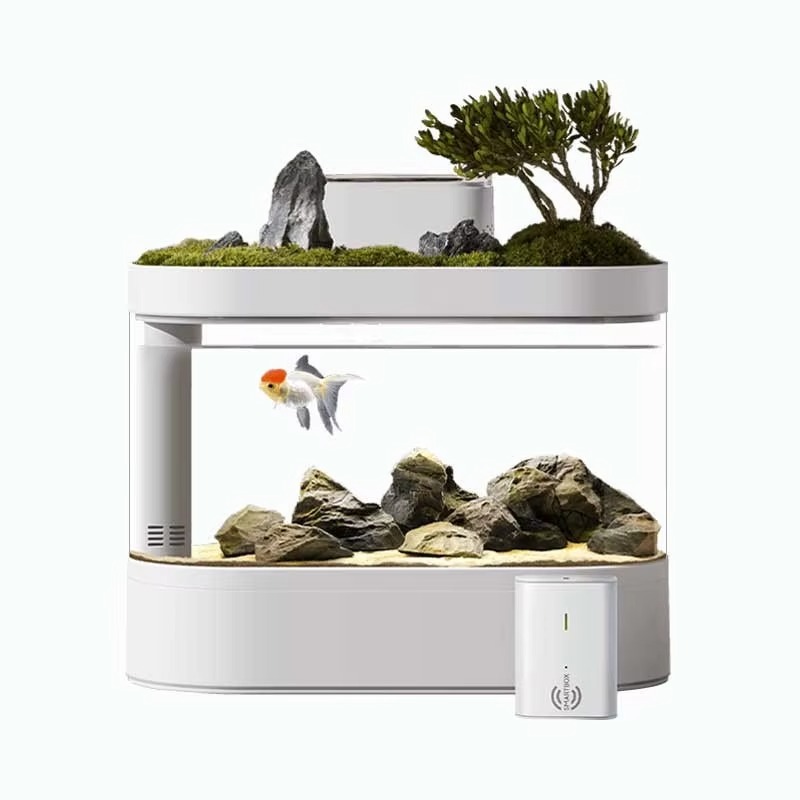 Desktop Smart Aquarium Fish Ta - đánh giá và giá Aquarium Fish Feeder