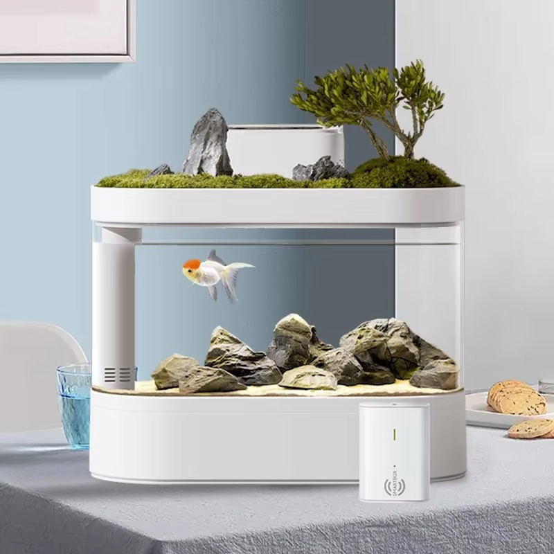 Desktop Smart Aquarium Fish Ta - đánh giá và giá Aquarium Fish Feeder