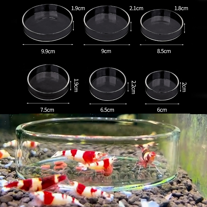 Shrimp Feeding Dish High Trans - đánh giá và giá Aquarium Fish Feeder