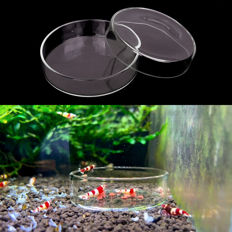 Shrimp Feeding Dish High Trans - đánh giá và giá Aquarium Fish Feeder