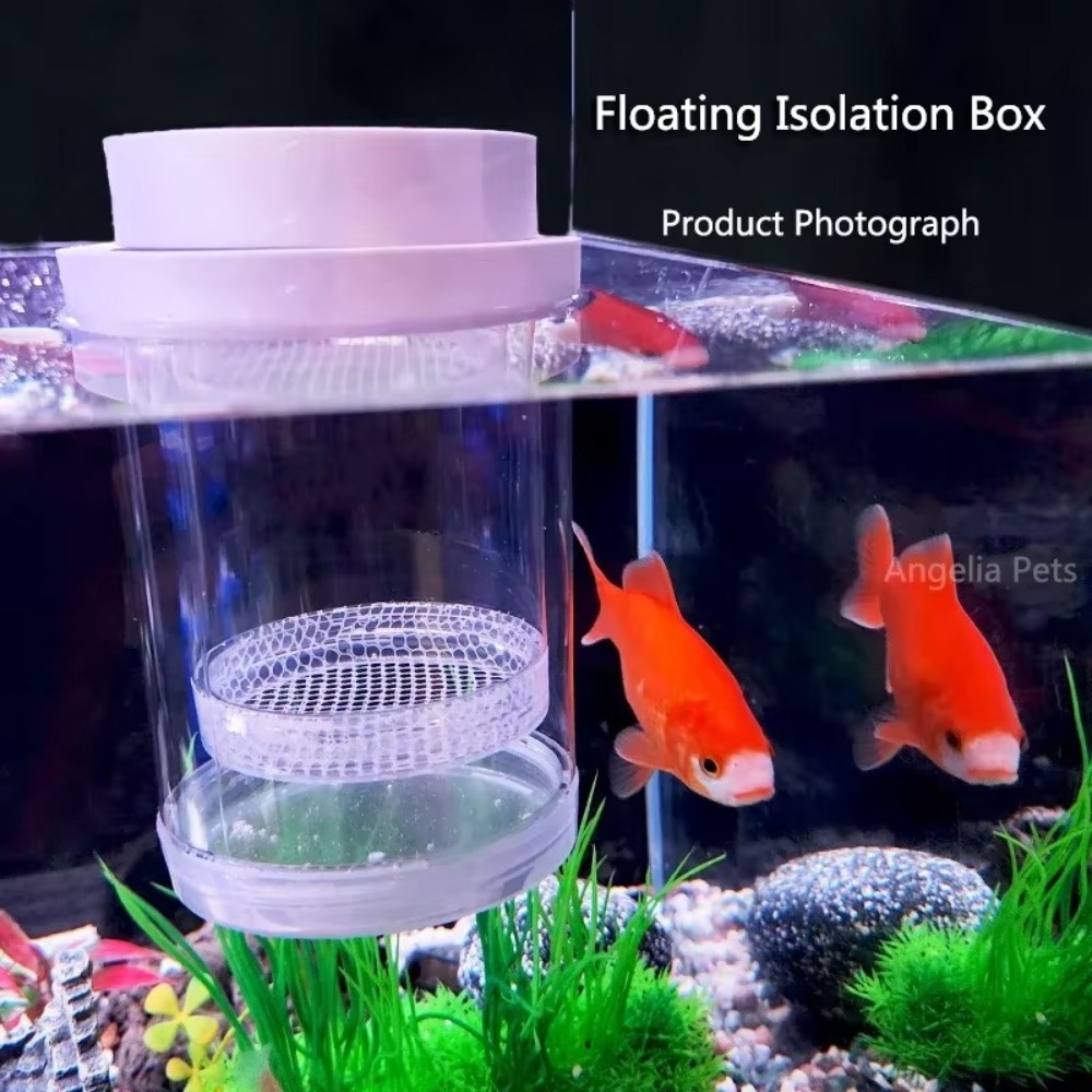 Plastic Floating Fish Breeding - đánh giá và giá Aquarium Fish Feeder