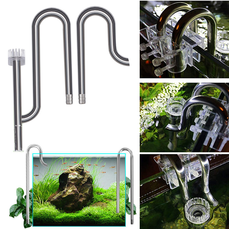 Mới Cá Lily Ống Thép Không Gỉ  - đánh giá và giá Aquarium Fish Images
