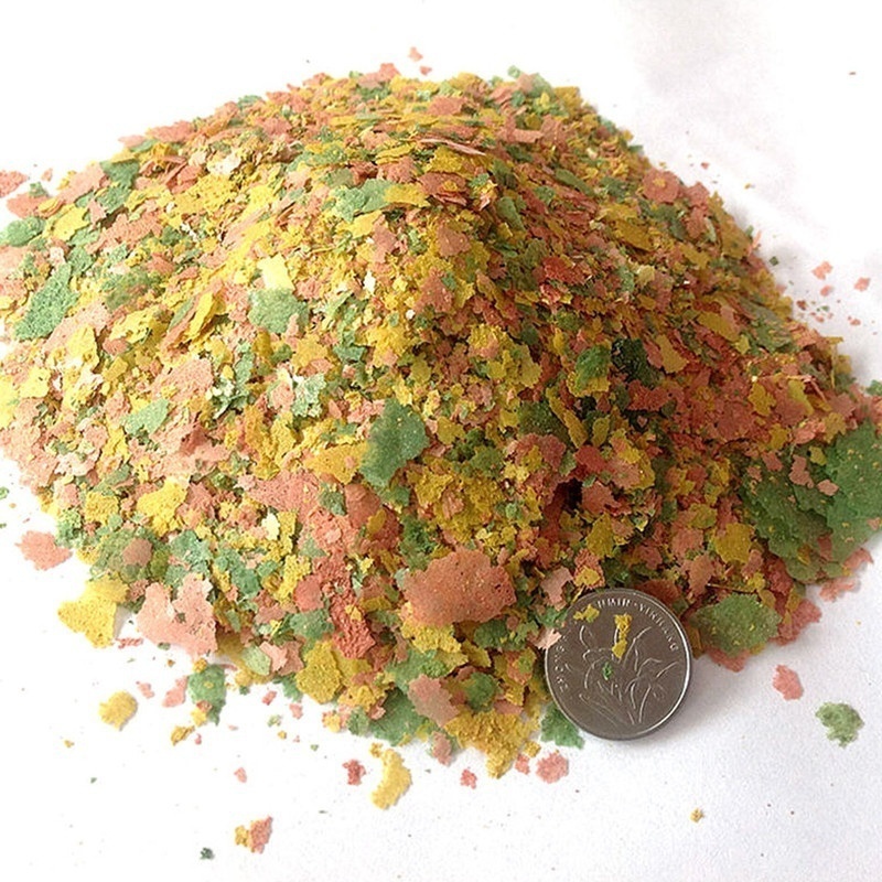 2026 Fresh Tropical Fish Flake - đánh giá và giá Fish Food Flake