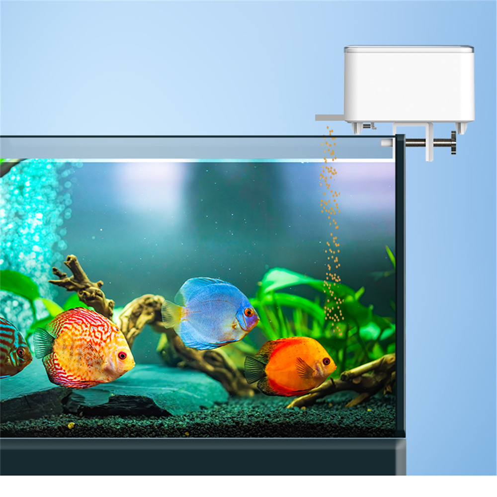 WiFi Smart Automatic Feeder Aq - đánh giá và giá Aquarium Fish Feeder