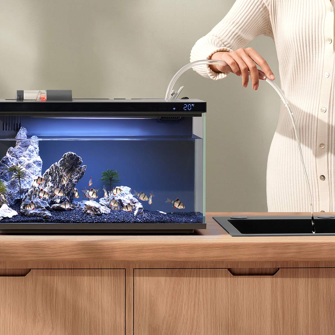 Xiaomi Mijia Smart Fish Tank M - đánh giá và giá Aquarium Fish App