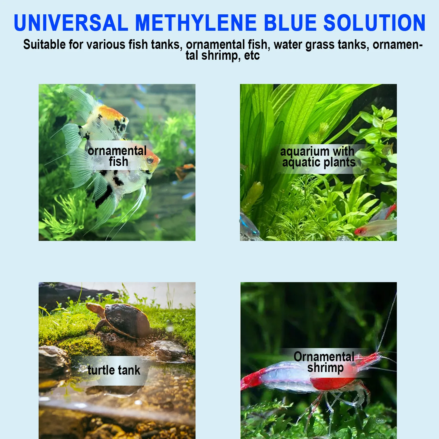 Aquarium Methylene Blue Fish M - đánh giá và giá Aquarium Fish Parasites