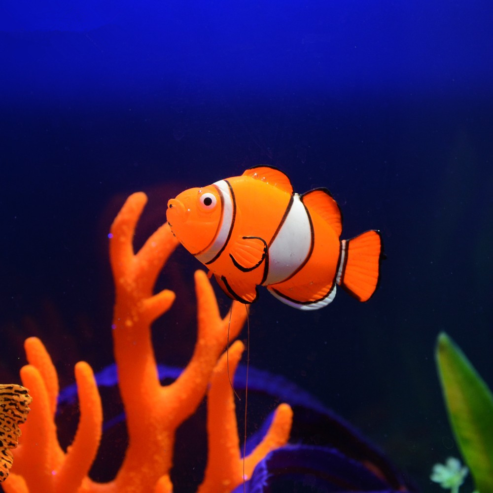 Glow in the Dark Luminous Sili - đánh giá và giá Aquarium Fish Glow In The Dark