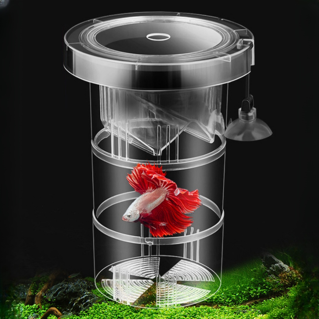 Acrylic Floating Fish Breeding - đánh giá và giá Aquarium Fish Feeder