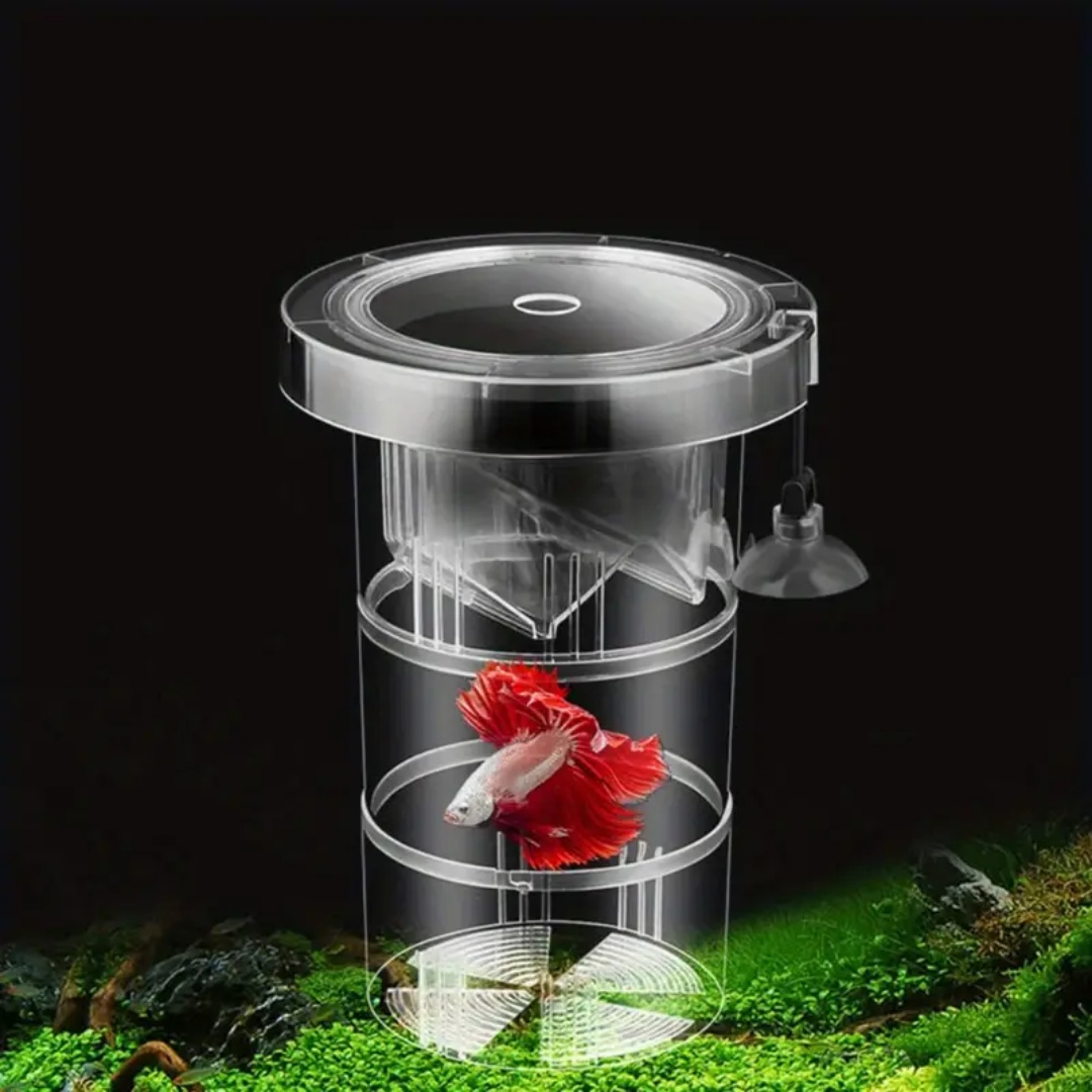Acrylic Floating Fish Breeding - đánh giá và giá Aquarium Fish Feeder