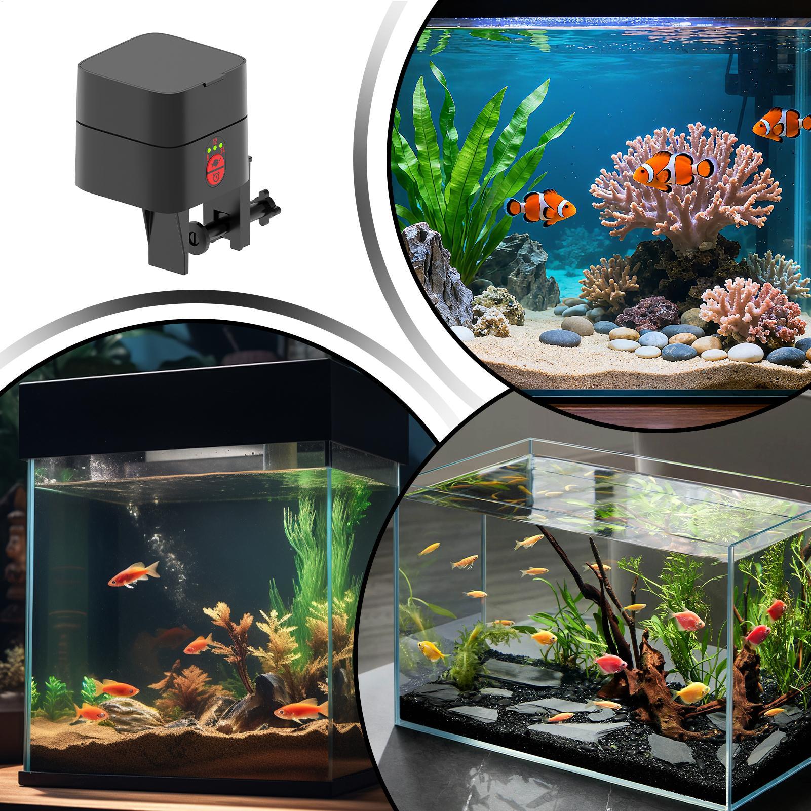 Auto Fish Feeder For Aquarium  - đánh giá và giá Aquarium Fish Feeder