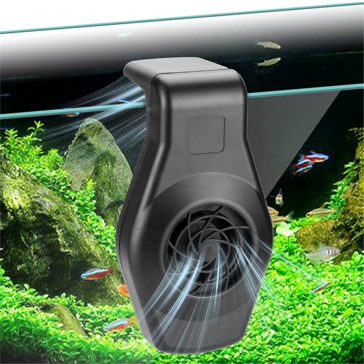 Big Discount Mini Aquarium Chi - đánh giá và giá Aquarium Fish Uk