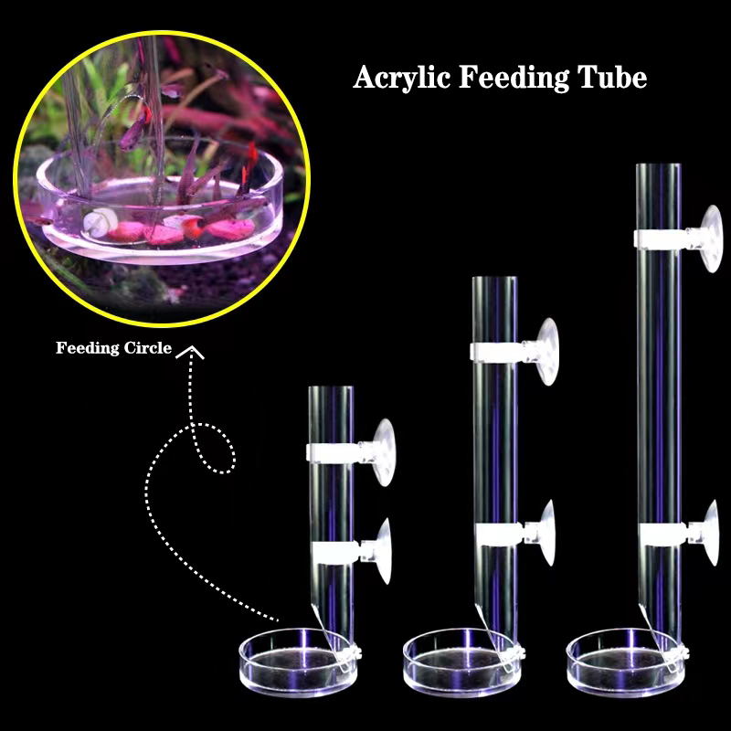 1Pcs Acrylic Aquarium Feeder T - đánh giá và giá Aquarium Fish Feeder