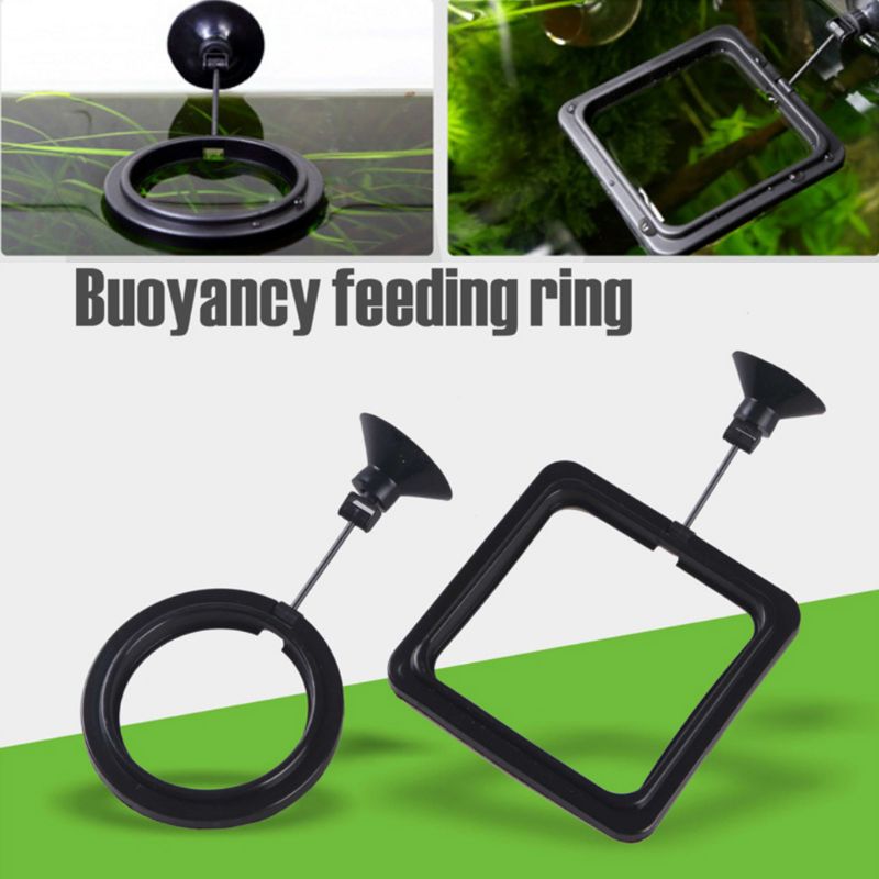 Aquarium Fish Feeding Ring Fis - đánh giá và giá Aquarium Fish Feeder